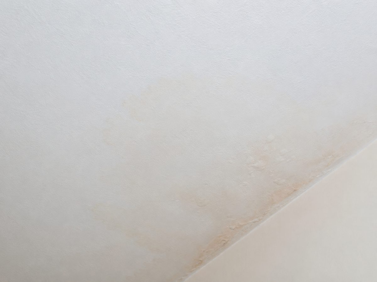 A faint brown water stain spreading across a white painted ceiling near a wall corner, with slight bubbling in the paint