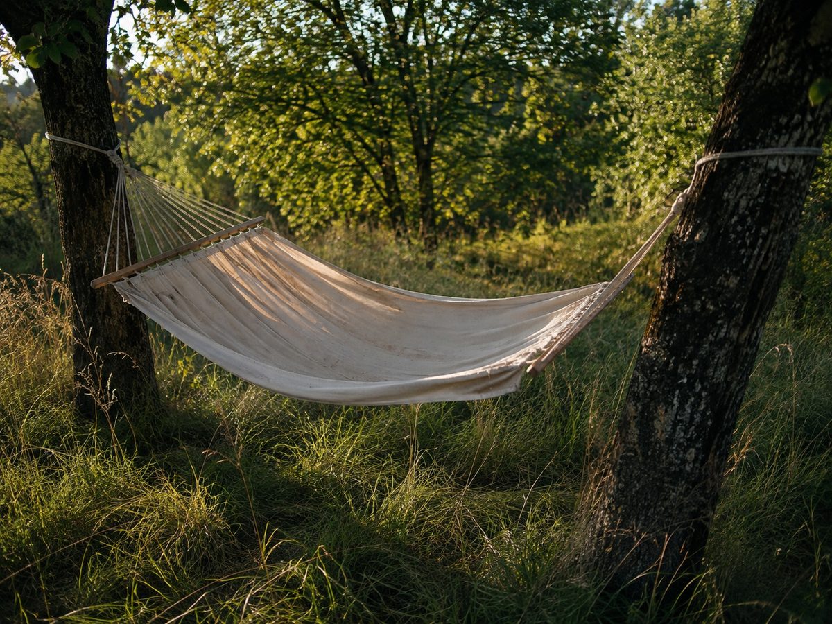 An empty canvas hammock strung between two trees in long grass, hanging still in dappled late afternoon light